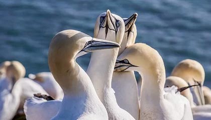 真的，别再劝我大度了：——那句“算了”这件事，我到现在还不敢回消息