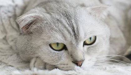 很多人不知道：一张被转发的截图背后的人际边界，比你想的更反直觉