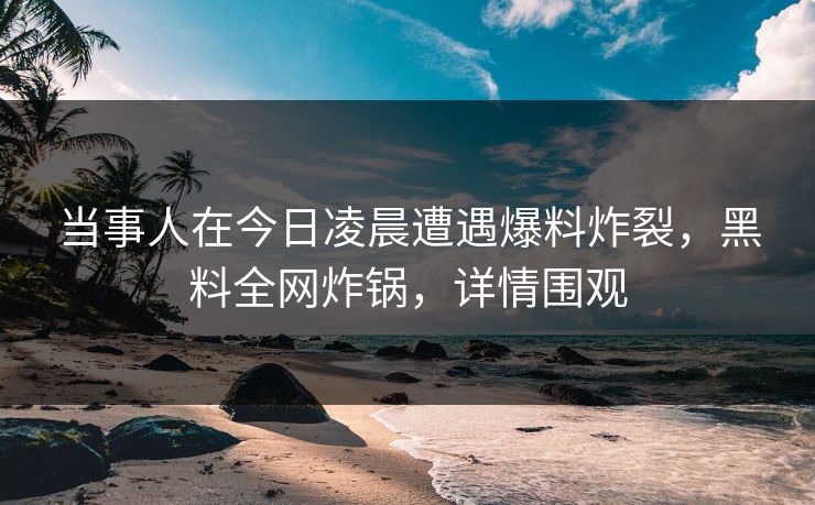 当事人在今日凌晨遭遇爆料炸裂，黑料全网炸锅，详情围观