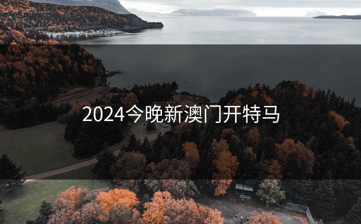 2024今晚新澳门开特马