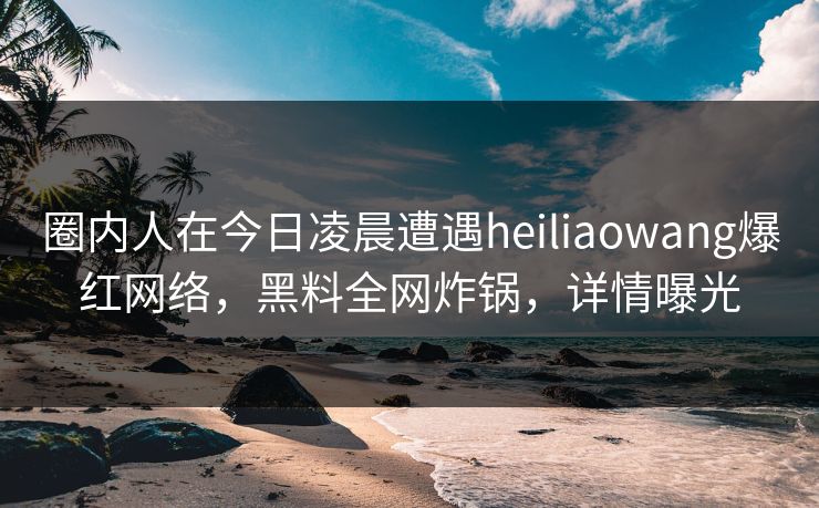 圈内人在今日凌晨遭遇heiliaowang爆红网络，黑料全网炸锅，详情曝光