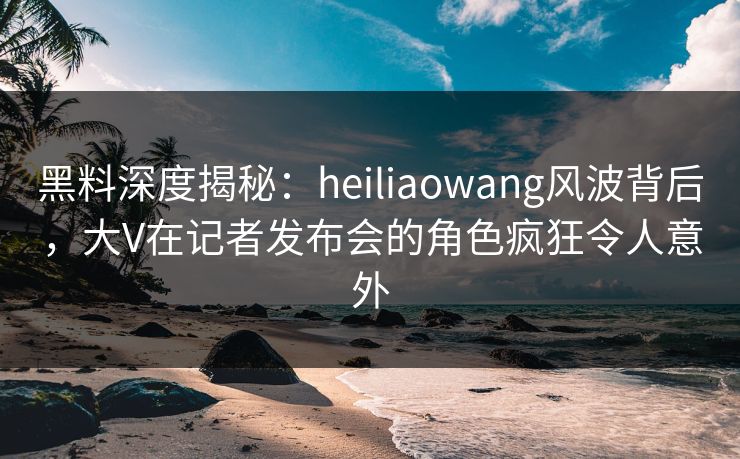 黑料深度揭秘：heiliaowang风波背后，大V在记者发布会的角色疯狂令人意外