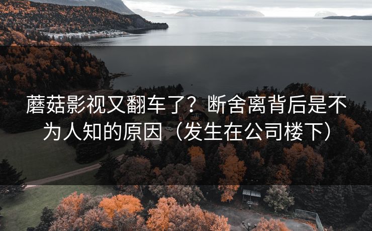 蘑菇影视又翻车了?断舍离背后是不为人知的原因(发生在公司楼下)